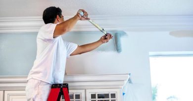 Dịch vụ thi công sơn nước tại TPHCM Sài Gòn giá rẻ trọn gói chuyên nghiệp Dịch vụ thi công sơn nước tại TPHCM Sài Gòn giá rẻ trọn gói chuyên nghiệp